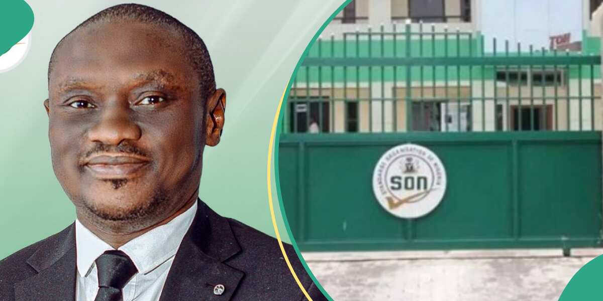 Rapid industrialization of Nigeria is my mission, says SON DG, Okeke