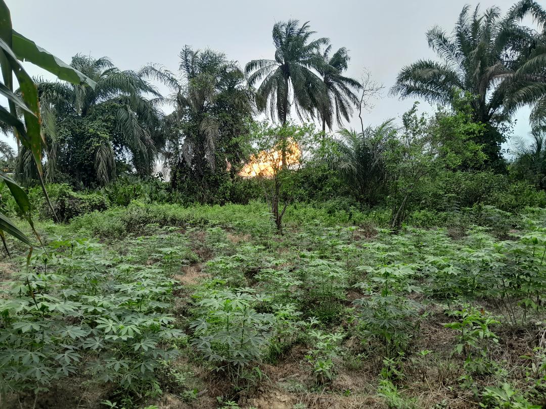 ERA/FOEN decries Shell’s reigniting of flares in Gbarantoru