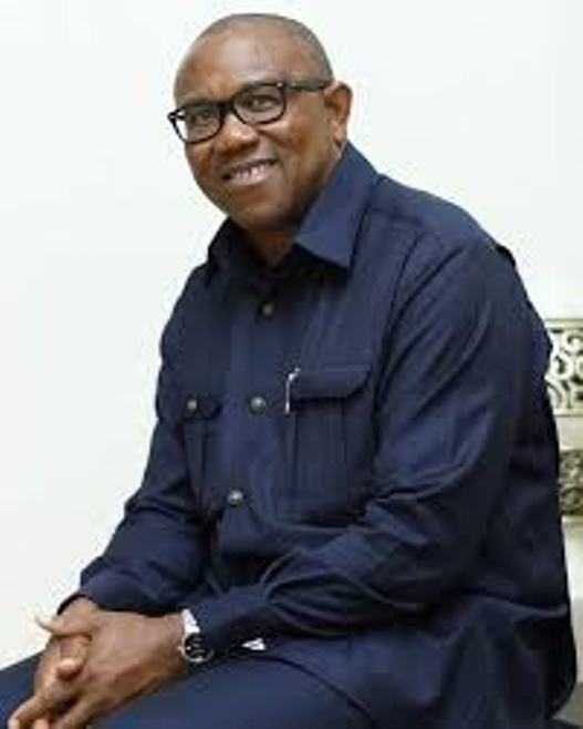 Why Obi endorsed ADC candidate in Anambra bye-election